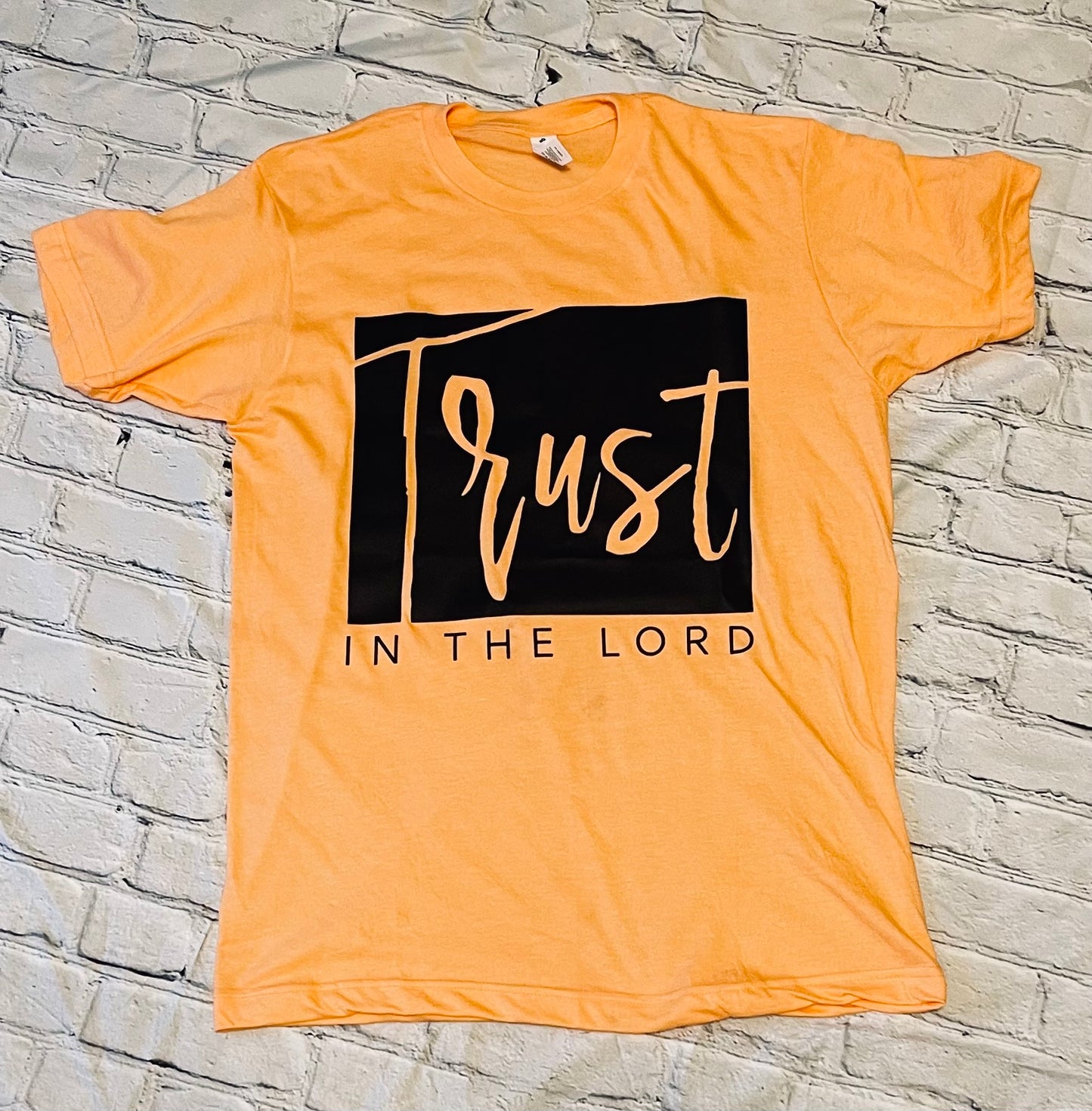 Trust in the Lord T-shirt